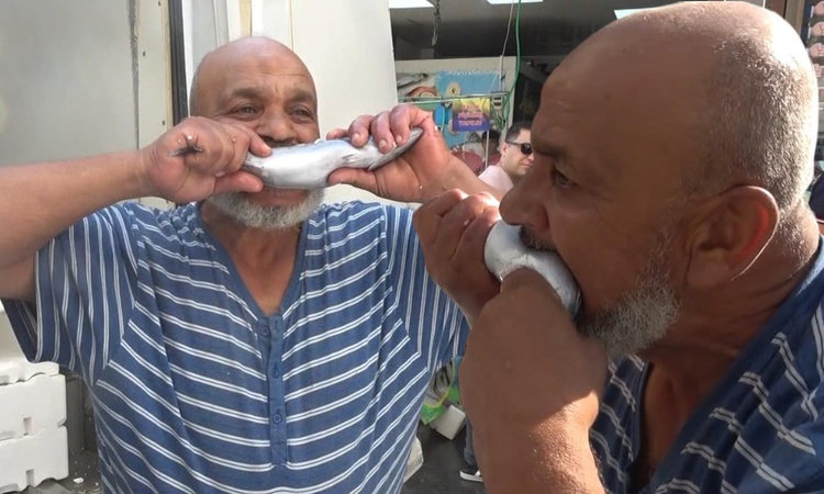Son Gelişme: Kilis'te palamut 100 liraya gerileme kaydetti, balıkçı çiğ çiğ yedi - Son Dakika Bilgileri