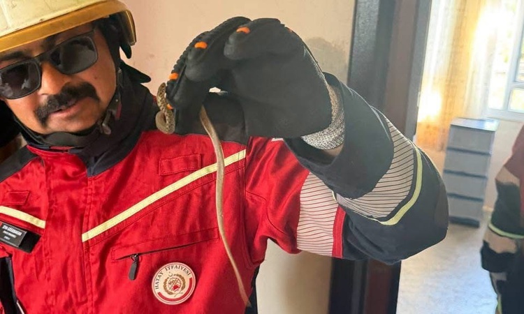 Son Gelişme: Kırıkhan’da eve giren yılanı itfaiye yakaladı | İşte Tüm Ayrıntılar