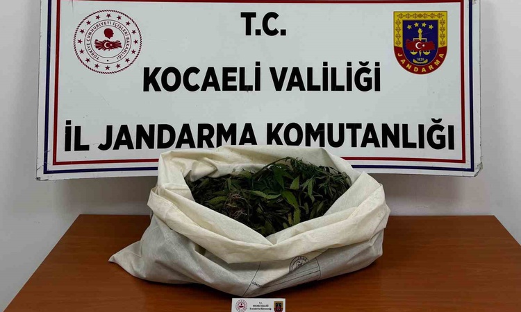 Son Gelişme: Kocaeli'de 4 ilçede uyuşturucu operasyonunda 7 şüpheli hakkında adli işlem başlatıldı ve Merak Ed