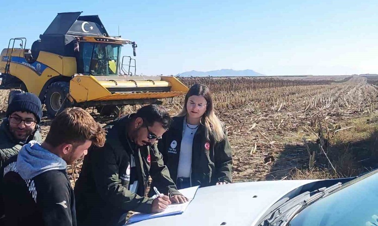 Son Gelişme: Konya Karapınar'da çerezlik ayçiçeği hasadında biçerdöverler denetlendi - Son Dakika Bilgileri