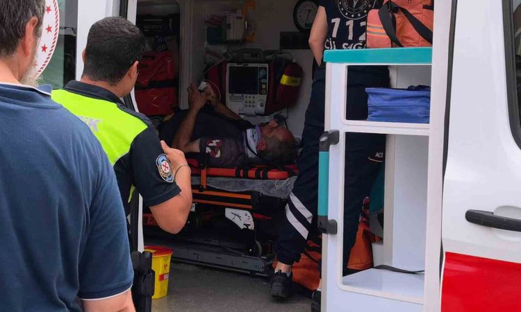 Son Gelişme: Köpeğe çarpmamak için devrildi, köpek ambulansı bekledi | İşte Tüm Ayrıntılar