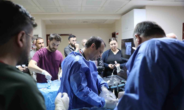 Son Gelişme: Kütahya’da uluslararası hekimlere ’mikrodalga ablasyon’ eğitimi
