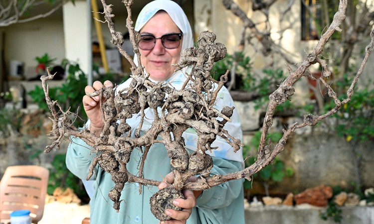 Son Gelişme: Lübnanlı sanatçı Cuni, şarapnelleri savaşın sessiz anlatıcısına dönüştürdü