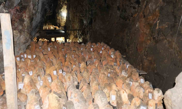 Son Gelişme: Mağaraya beyaz giriyor, kırmızı çıkıyor: ‘Divle Obruk Peyniri’ sofralara hazırlanıyor: Gelişmeler