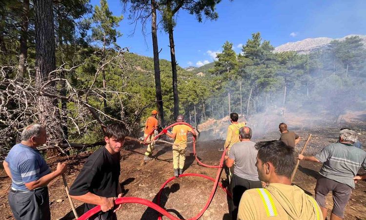 Son Gelişme: Manavgat'ta enerji hattı yangını: 1 dönüm zarar: Gelişmeler Takip Ediliyor