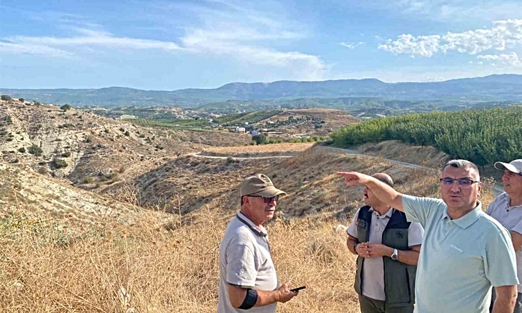 Son Gelişme: Mersin Mut'ta 475 hektar alanda 62 bin zeytin fidanı toprakla buluşturuldu - Son Dakika Bilgileri