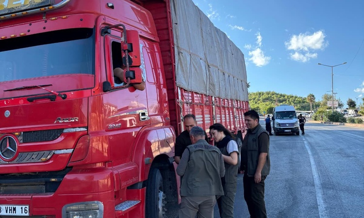 Son Gelişme: Mersin Silifke'de orman suçlarına karşı yol kontrolü yapıldı - Son Dakika Bilgileri