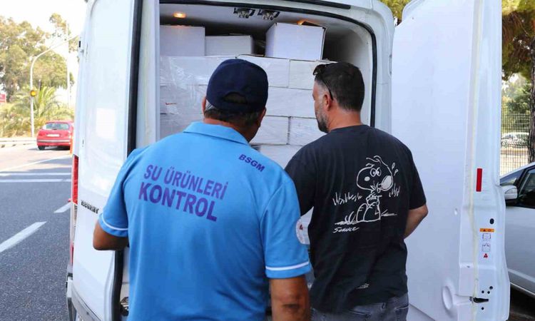 Son Gelişme: Muğla’da gıda güvenliği için sıkı denetim - Son Dakika Bilgileri