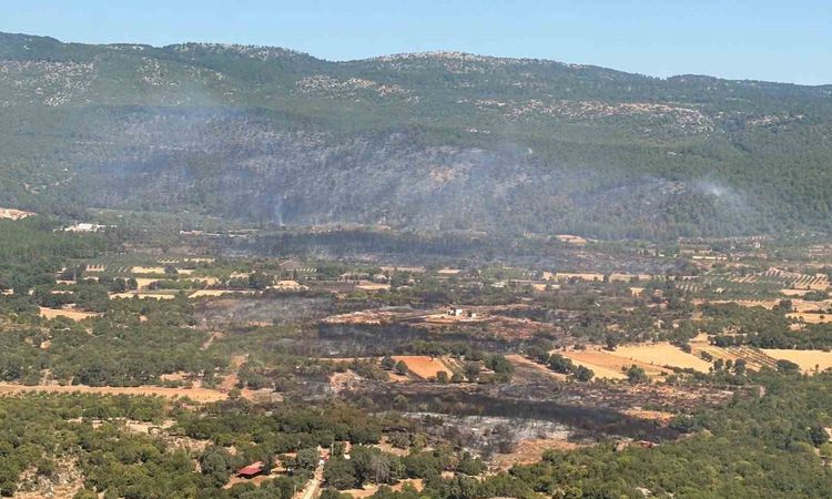 Son Gelişme: Muğla'da orman yangını kontrol altında: 5 sortide 90 saniyede 15 ton su