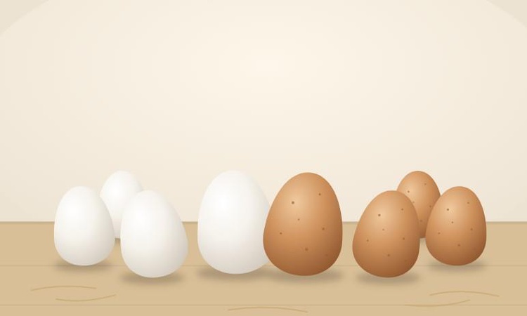 Son Gelişme: Neden bazı yumurtalar beyaz bazıları sarı renklidir?: Gelişmeler Takip Ediliyor