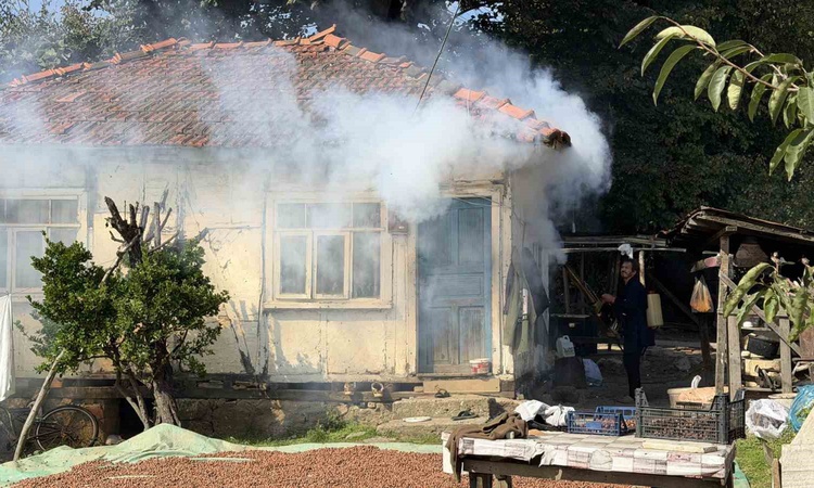 Son Gelişme: Sakarya Ferizli'de vatandaşlar kokarca istilasına tavuk ve hindilerle mücadele ediyor: Gelişmeler