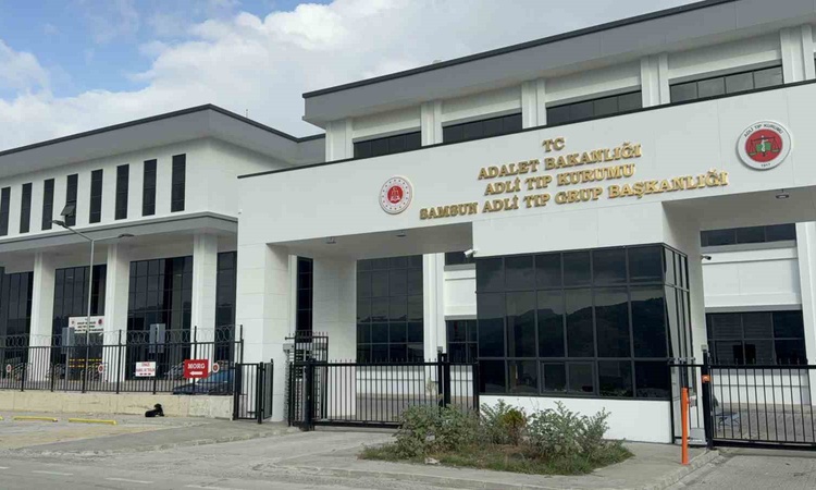 Son Gelişme: Samsun Terme'de dedesinin kullandığı araç, 2,5 yaşındaki çocuğun ölümüne neden oldu - Son Dakika