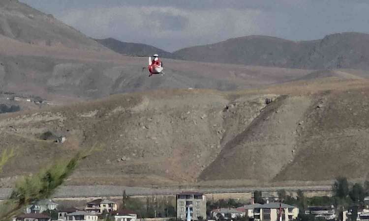 Son Gelişme: Sarılık hastası bebek ambulans helikopter ile Van’a getirildi: Gelişmeler Takip Ediliyor