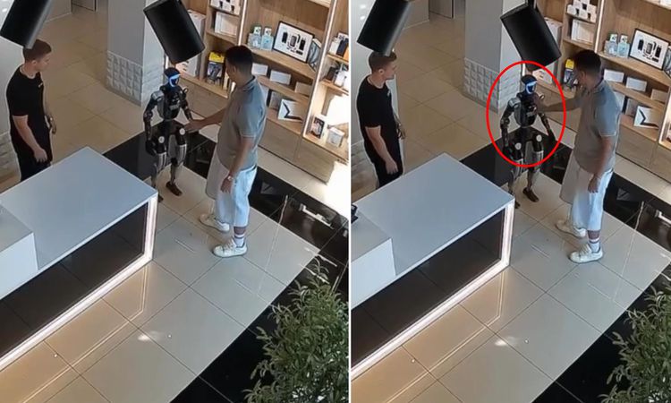 Son Gelişme: Sen misin robota ters yapan! Neye uğradığını şaşırdı - Son Dakika Bilgileri