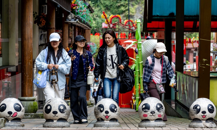 Son Gelişme: Sichuan'daki Baoxing ilçesi dev panda kaynaklarıyla ekoturizmi hızlandırıyor