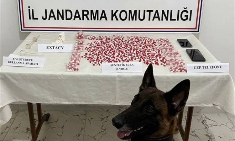 Son Gelişme: Siirt'te jandarma, otobüste 2 bin 650 uyuşturucu hap ele geçirdi, 1 şüpheli yakalandı - Son Dakik