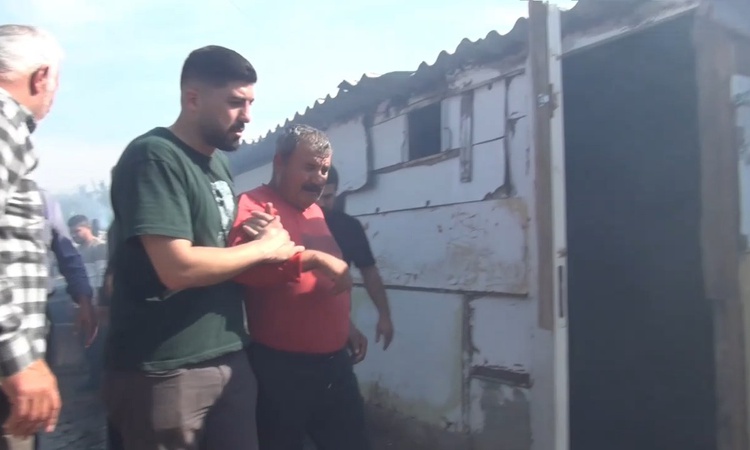 Son Gelişme: Silivri'deki ahır yangınında çok sayıda hayvan öldü, 2 kişi hastaneye kaldırıldı: Gelişmeler Taki
