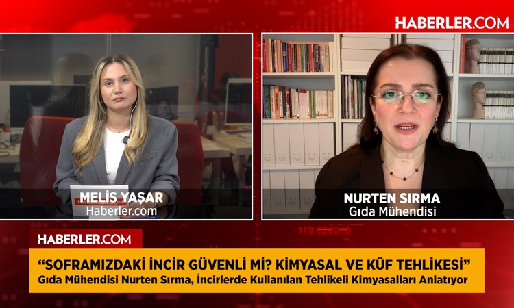 Son Gelişme: Soframızdaki incir ne kadar güvenli? Uzmanından kritik uyarılar: Gelişmeler Takip Ediliyor
