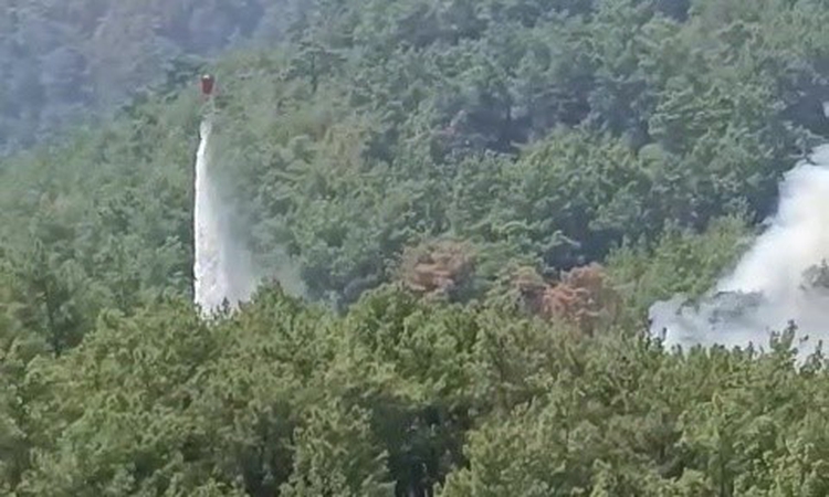 Son Gelişme: Soğutma çalışmalarının sürdüğü ormanlık alanda yeniden yangın çıktı