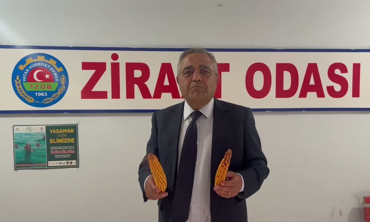 Son Gelişme: Tanrıkulu, Batman'da mısırın kilosunun en az 17 bin lira olması gerektiğini söyledi | İşte Tüm Ay