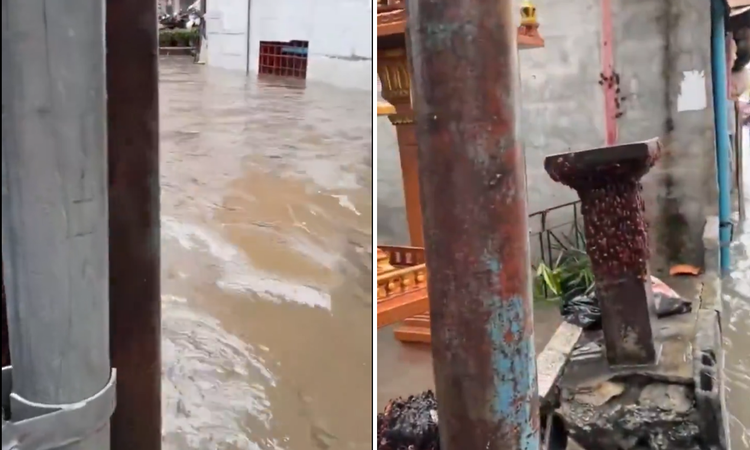 Son Gelişme: Tayland'da kabus görüntüleri: Sel suları binlerce hamam böceğinin sokağa döktü ve Merak Edilenler