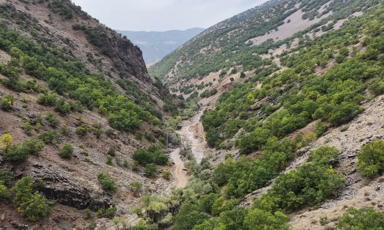 Son Gelişme: Tunceli'de Dere Ali Mezrası 100 yıllık hayalin ardından elektriğe kavuştu | İşte Tüm Ayrıntılar