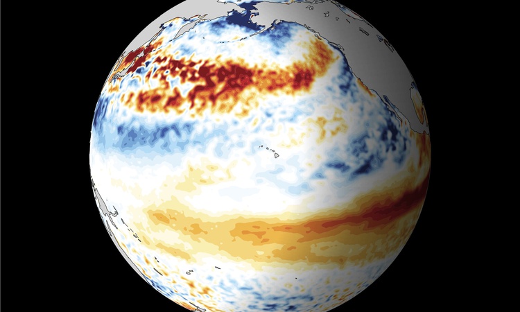 Son Gelişme: WMO, El Nino'nun hızla güçlendiğini ve en sıcak 2 ayın geride kaldığını tüm detaylarıyla paylaştı