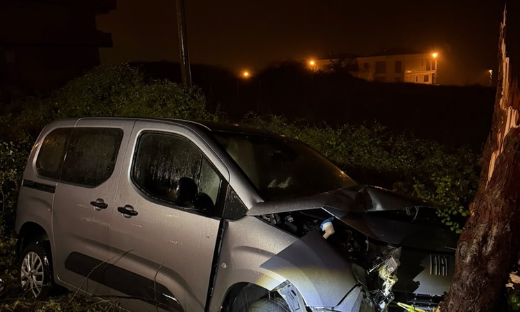 Son Gelişme: Yalova Çınarcık'ta yağış nedeniyle hafif ticari araç ağaca çarptı, sürücü yaralandı: Gelişmeler T