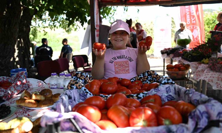 Son Gelişme: Yamanlar Domatesi için Tarla Günü ve Merak Edilenler