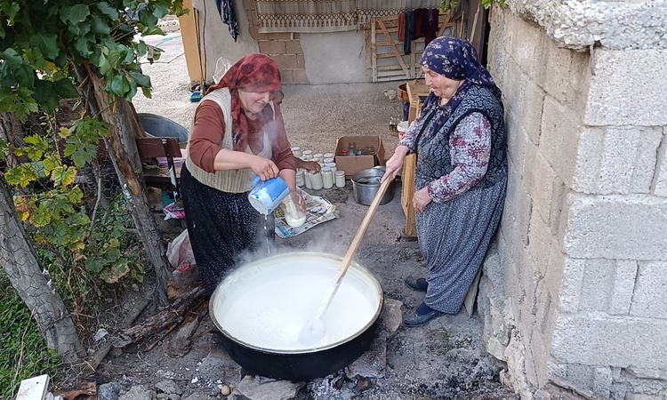 Son Gelişme: Yozgat Çekerek'te şişe tarhanası kurutma zahmeti olmadan sofralara taşınıyor - Son Dakika Bilgile