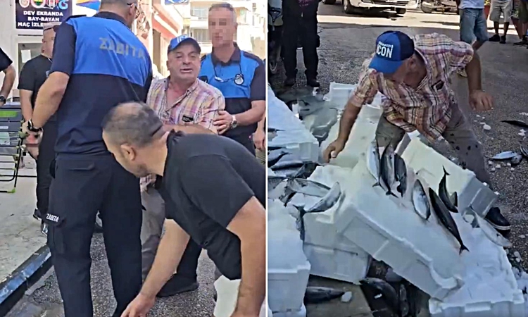 Son Gelişme: Zabıta uyardı, esnaf çılgına döndü! Balıkları tek tek yere fırlattı - Son Dakika Bilgileri