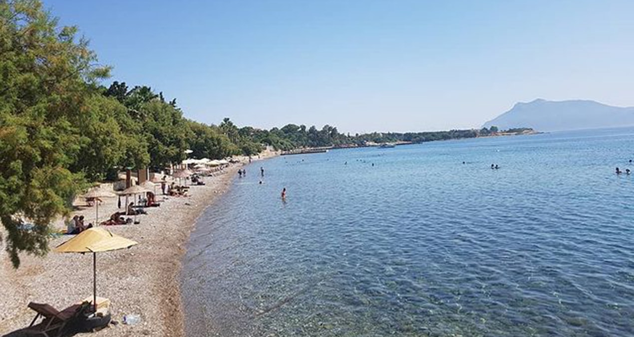 Gündemden Son Bilgiler: Son kupon araziler satışta - Haberleri - Son Dakika Bilgileri