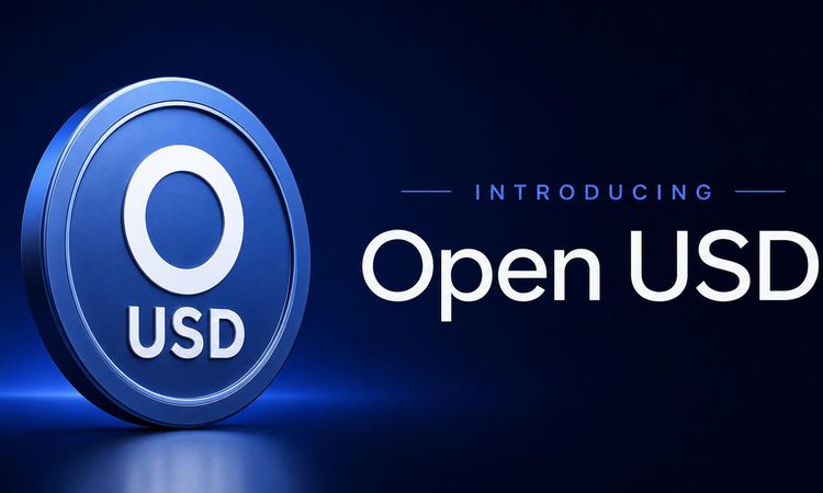 Son Gelişme: Stablecoin piyasası için kritik soru: Open USD, Circle'a rakip olabilir mi? - Haberleri: Gelişmel