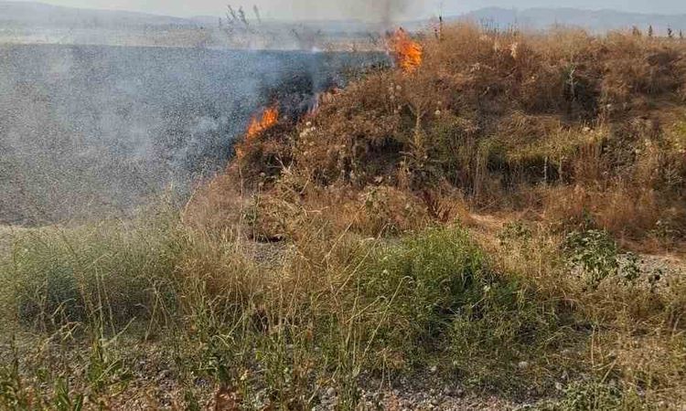 Şuhut'ta Arazi Yangını Kontrol Altına Alındı - Son Dakika | İşte Tüm Ayrıntılar