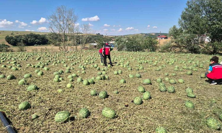 Super cell hit Tekirdağ: 4 villages were damaged - Last Minute