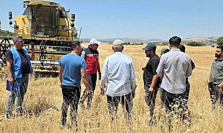TAKEP kapsamında yüzde 75 hibe ile mercimek tohumuna müracaatlar resmen start aldı - Son Dakika Bilgileri
