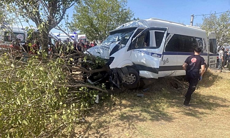 Tarım işçilerini taşıyan minibüs, ağaca çarptı: 14 yaralı | İşte Tüm Ayrıntılar