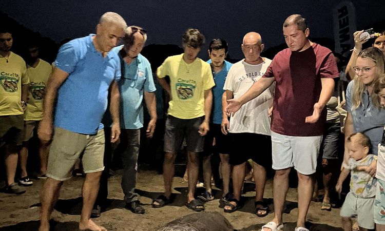 Son Gelişme: Tedavi edilen yaralı deniz kaplumbağası Kaan-19, 1 yıl sonra doğal yaşam ortamına bırakıldı - Son