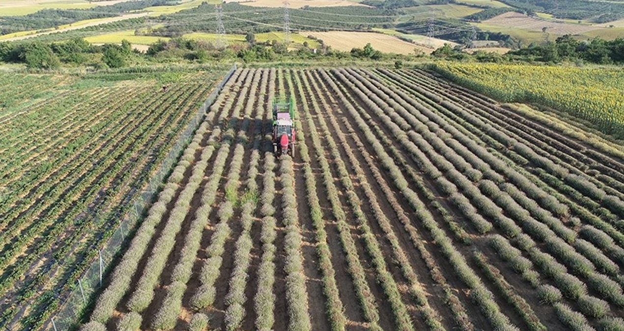 Gündemden Son Bilgiler: Tek bir damla su istemeden servet kazandırıyor - En Son Haber - Son Dakika Bilgileri
