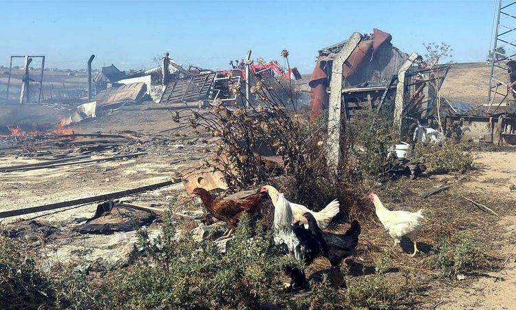 Ayrıntılar Netleşti: Tekirdağ'da anız alevlerı; 4 çiftlik evi yandı - Haberleri