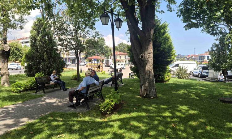 People who were overwhelmed by the heat in Tekirdağ took shelter in shaded areas - News