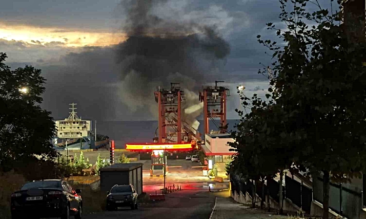 Tekirdağ Süleymanpaşa'da Ceyport Limanı'ndaki kamyonette çıkan yangın söndürüldü - Son Dakika Bilgileri
