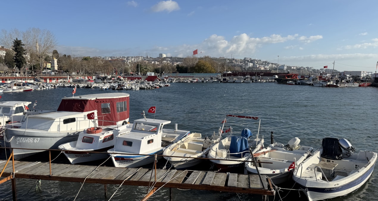 Kritik Açıklama: Tekirdağlı balıkçılar yeni yılda sardalya ve istavrit umuduyla ağ atacak - Son Dakika