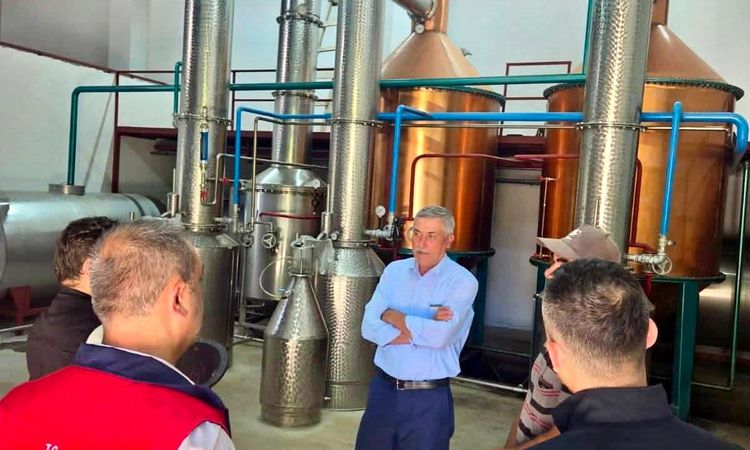Ayrıntılar Netleşti: Tıbbi aromatik bitki üretimi için saha çalışmaları sürüyor - Son Dakika Haberleri