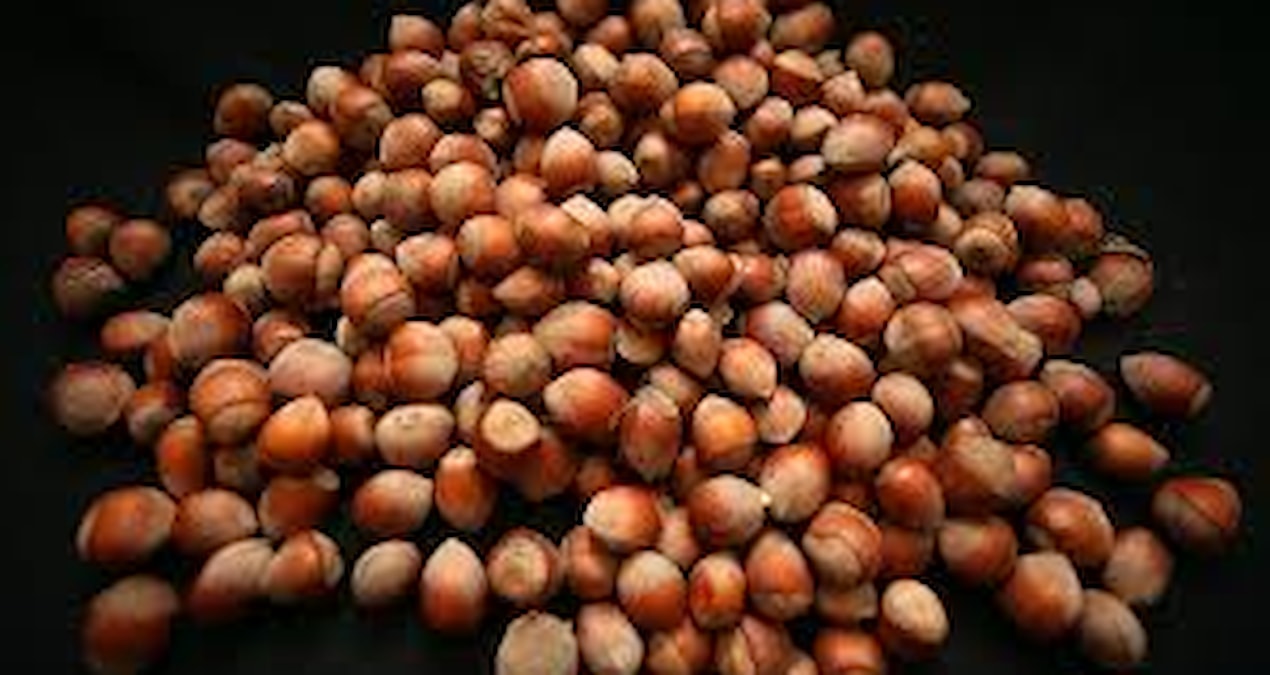 More than 345 thousand tons of hazelnuts were traded on commodity exchanges - News