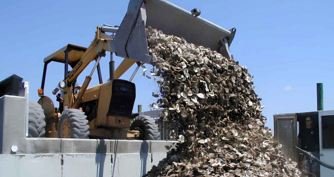 Gündemden Son Bilgiler: Tonlarcasını 6 ay boyunca güneşte bekletiyorlar: Her biri günde 190 litre su temizliyo