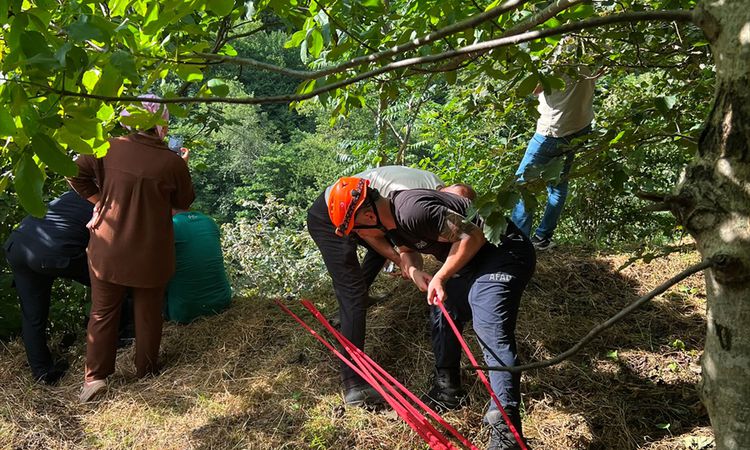 Gündemden Son Bilgiler: Trabzon'da yamaçtan yuvarlanan inek kurtarıldı - Haberleri