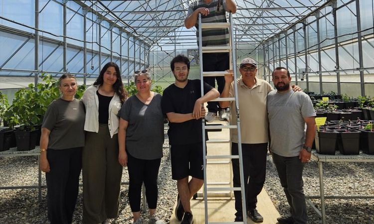 Sıcak Gündem: Trüf mantarı aşılı fidan üretim serası aşırı sıcaklardan dronla uygulanan jelle korunuyor - Habe