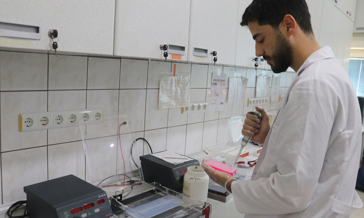 TÜBİTAK, kuraklığa dayanıklı çilek ve biber için yaklaşık 18 milyon lira destek verdi - Son Dakika Bilgileri