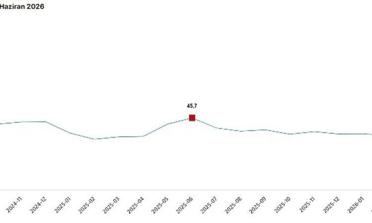 Son Gelişme: TÜİK: Haziran ayında toplam ciro yıllık yüzde 25,8 arttı - Haberleri ve Merak Edilenler